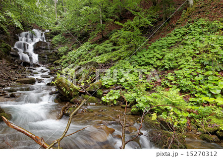 Forest mountain river on a clear sunny day. Forest mountain river on a clear sunny day. 15270312