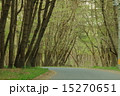 森林 15270651