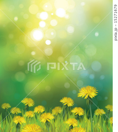 Vector  spring background with yellow dandelions. 15271679