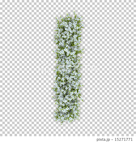 アジサイの文字 15271771