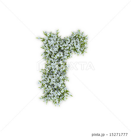 アジサイの文字 15271777