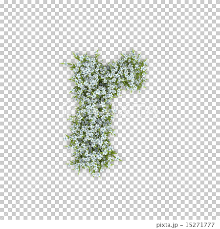 アジサイの文字 15271777