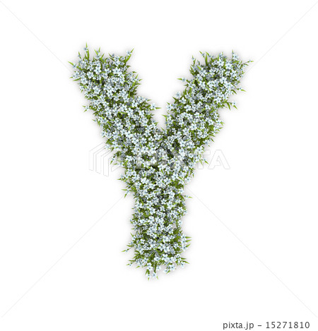 Hydrangea Letters Stock Illustration