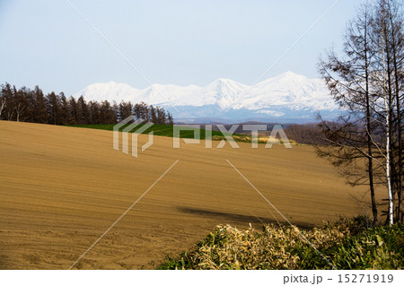 残雪の山と春の畑 残雪の山と春の畑 15271919