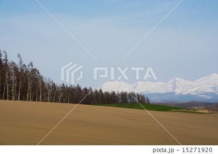 残雪の山と春の畑 15271920