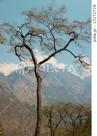 Tibetan mountain's landscape 15272728