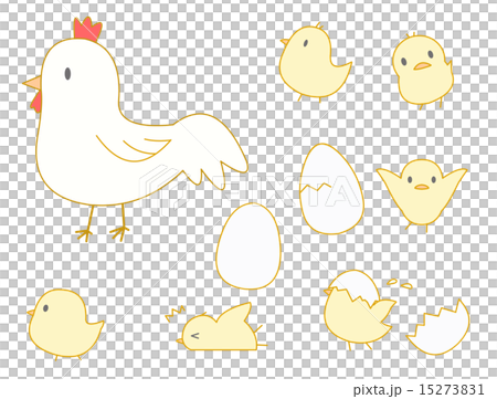 1,548 小雞High Res Illustrations - Getty Images