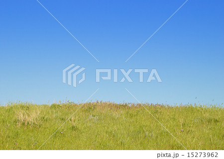 Green landscape with clouds. Green landscape with clouds. 15273962