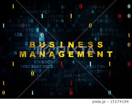Finance concept: Business Management on Digital background 15274194