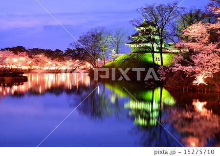 桜の高田公園 15275710
