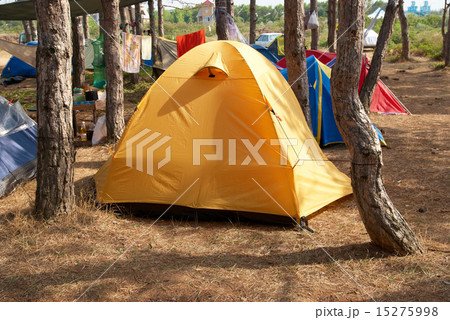 Campsite in the forest 15275998