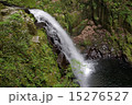 堂々と落ちる滝 15276527