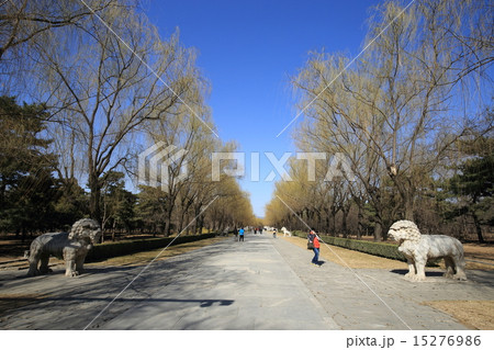 世界遺産 北京 明十三陵 神道 世界遺産 北京 明十三陵 神道 15276986
