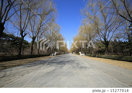 世界遺産　北京　明十三陵　神道 15277018