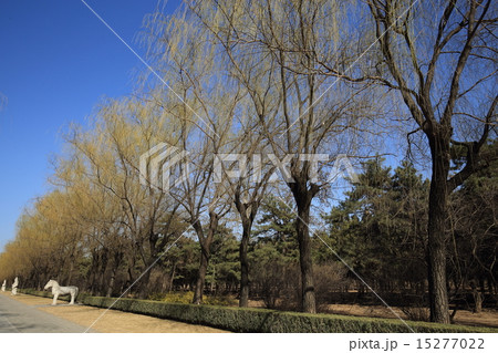 世界遺産　北京　明十三陵　神道 15277022