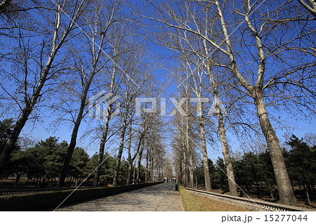 世界遺産　北京　明十三陵　神道 15277044