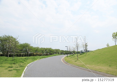 権現堂公園2 権現堂公園2 15277319