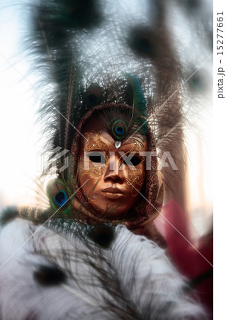 mask portrait  carnival of venice italy 15277661
