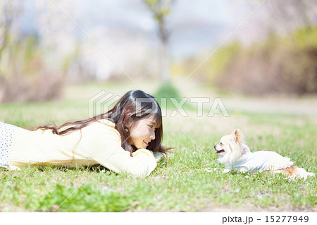 愛犬と公園で遊ぶ女の子 15277949