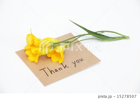 フリージアとメッセージカード フリージアとメッセージカード 15278507