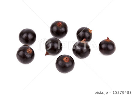 black currant black currant 15279483