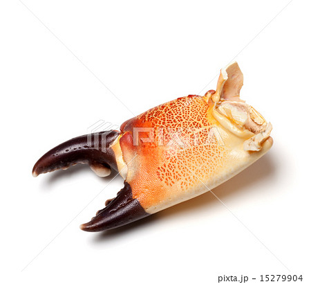 Cooked claw crab isolated on white background 15279904