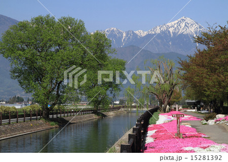 安曇野の春・拾ヶ堰から常念岳を望む 15281392