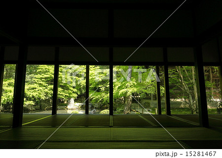 京都蓮華寺 15281467