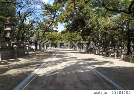西宮神社の参道 西宮神社の参道 15281506