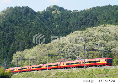 新緑の築堤を行く東武鉄道乗り入れ特急日光号 新緑の築堤を行く東武鉄道乗り入れ特急日光号 15281528