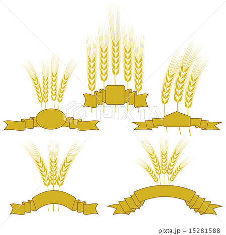 Wheats 15281588
