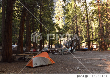 テント場 キャンプ場 camp4 YOSEMITE テント場 キャンプ場 camp4 YOSEMITE 15282184