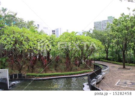 九龍寨城公園 九龍寨城公園 15282458