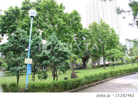 九龍寨城公園 15282462