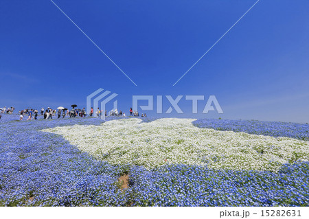 蒼の地上絵 蒼の地上絵 15282631