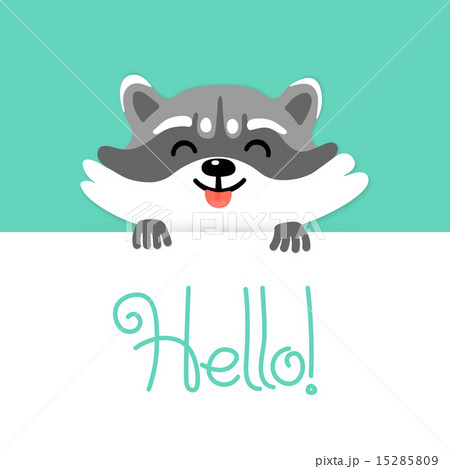 Cute raccoon says hello to you 15285809