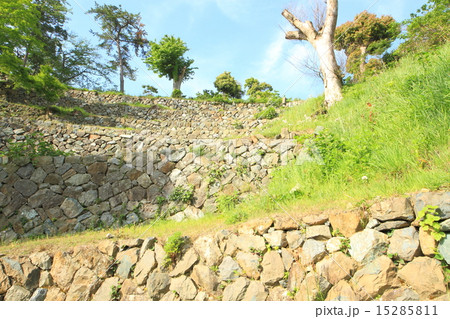 5月三重 鳥羽城・三の丸広場 15285811