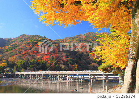 11月京都 名勝・嵐山渡月橋と紅葉 15286374