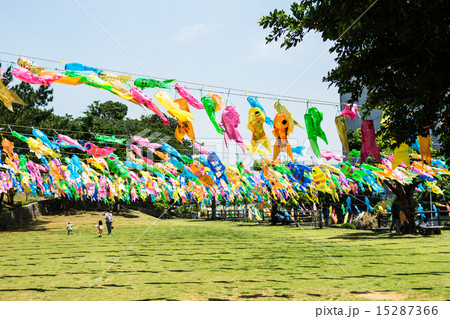 鯉のぼり 鯉のぼり 15287366