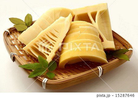 たけのこ　食材 15287646