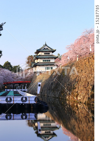花咲く弘前城 北の郭 花咲く弘前城 北の郭 15287785