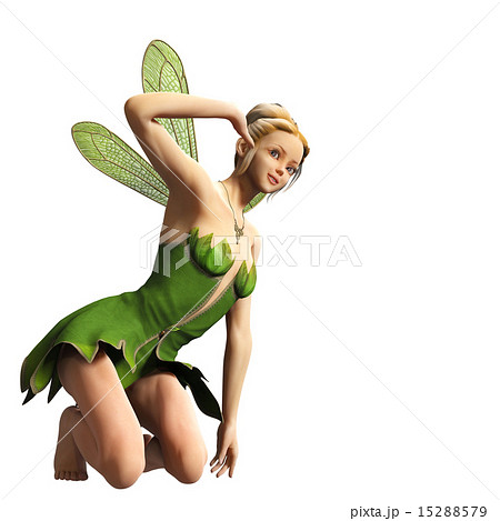 脇を見せる　妖精　フェアリー　3DCGイラスト素材 15288579