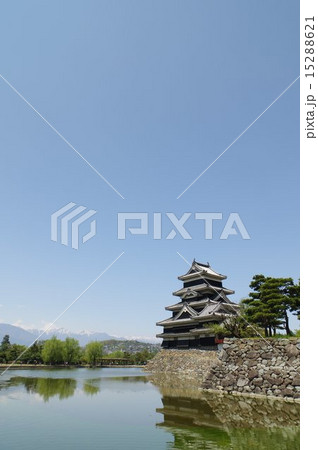 信州　春の国宝松本城 15288621