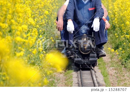 ミニSL ミニSL 15288707