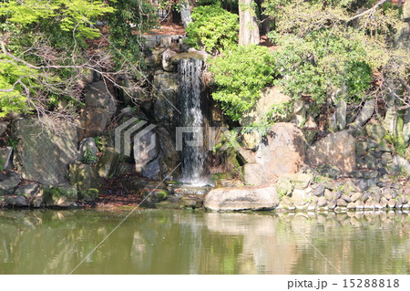 竜ヶ池・鶴舞公園(名古屋市) 竜ヶ池・鶴舞公園(名古屋市) 15288818