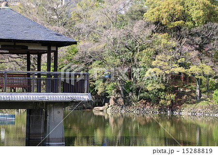 竜ヶ池・鶴舞公園(名古屋市) 竜ヶ池・鶴舞公園(名古屋市) 15288819