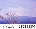 富士山と桜vol.3 15288866