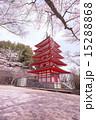 五重塔と桜vol.2 15288868