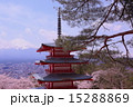 五重塔と桜vol.3 15288869