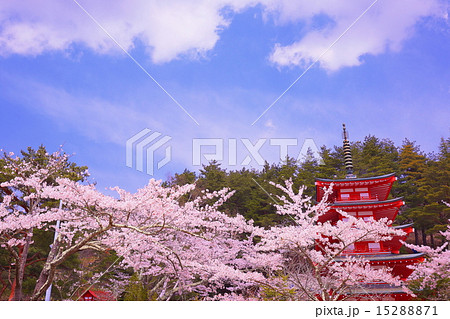 五重塔と桜vol.5 15288871